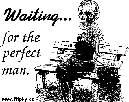 Čekání na perfektního muže