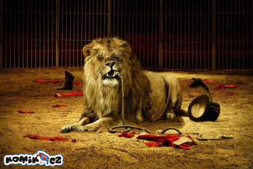 A jakej byl krotitel