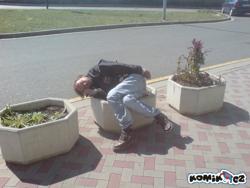 Copak nám to tu zasadili?