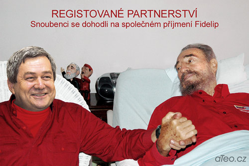 Registrované partnerství