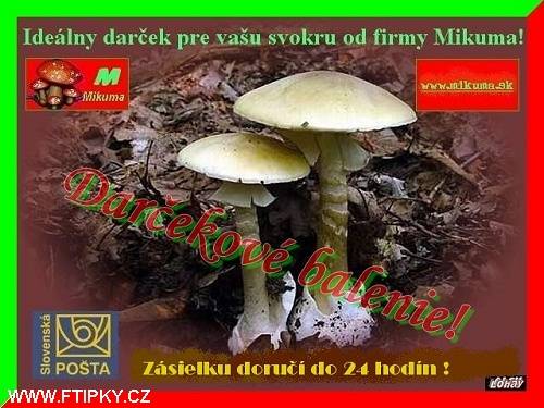 Dárkové balení od firmy Mikuma