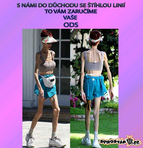 Do důchodu se štíhlou linií