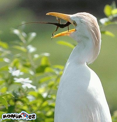 Hlavně se nevzdávat