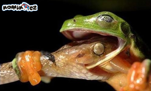 Hlavně se nevzdávat