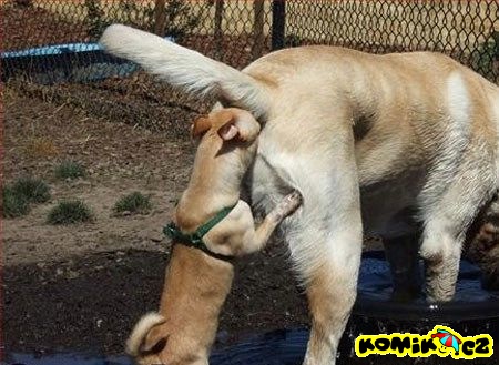 Jak to chodí v naší firmě