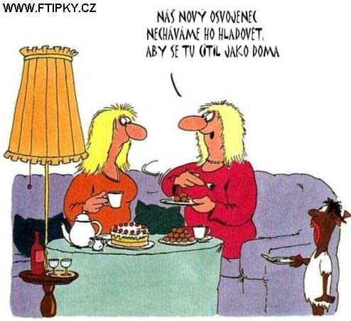 Náš nový osvojenec