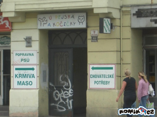 No fuj - popravna psů