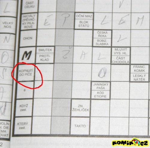 Oříšek i pro zdatné křížovkáře