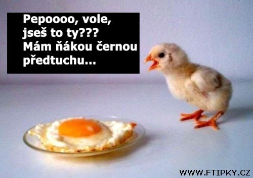 Pepooo, vole, jsi to ty?