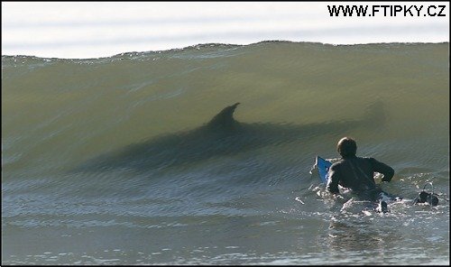 Poslední foto z dovolené