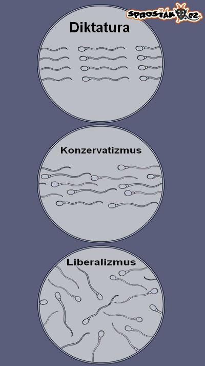 Spermie podle politické moci