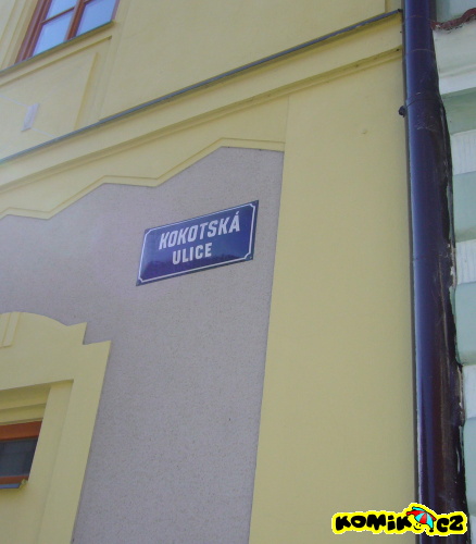 Kokotská ulice
