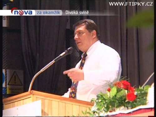 To se Nově docela povedlo