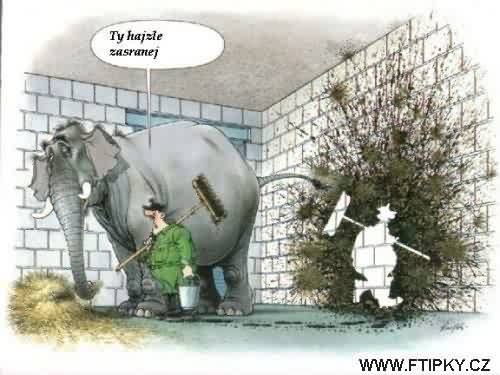 Zlobivý slon